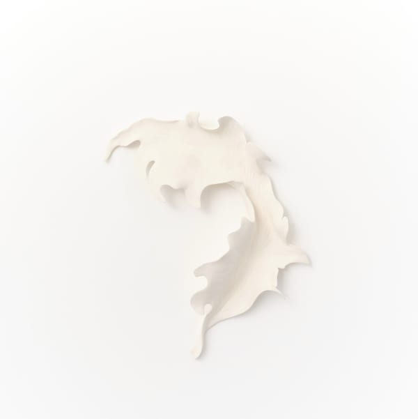 Marina Nimmo, Cornflower Leaf #3, 2025