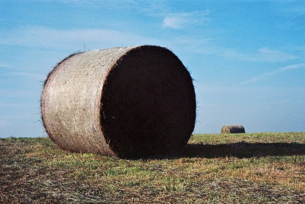 Caroline Marrack, 2 hay gathering, after Monet #1, 2020