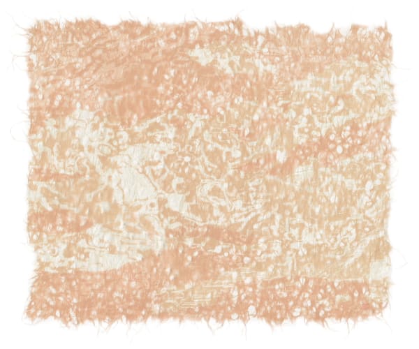 Kristen McClarty Forgotten Iteration #1, 2025 Woodcut state print on Japanese Asarakusui 27 gsm Edition 4 of 5 56cm x 76 cm