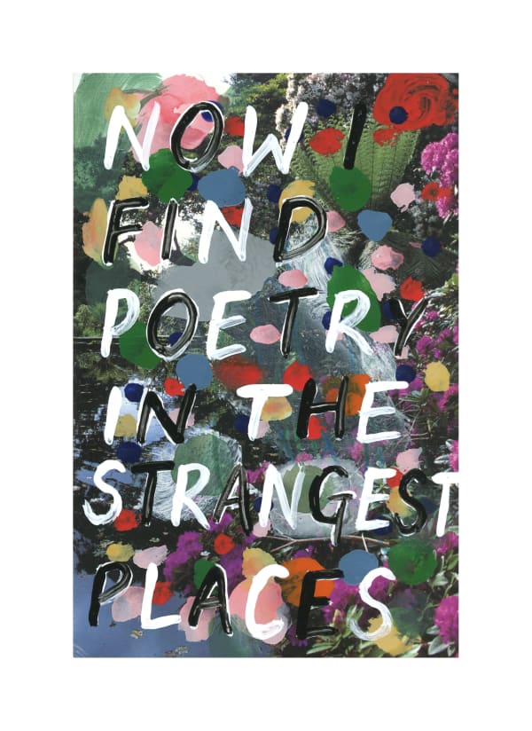 Adam Bridgland, NOW I FIND POETRY IN THE STRANGEST PLACES, 2023