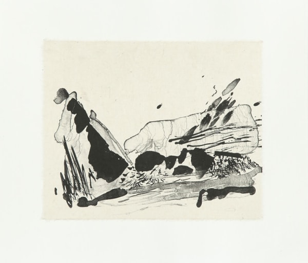 Danielle Creenaune, Quadern de Pedra #2, 2019