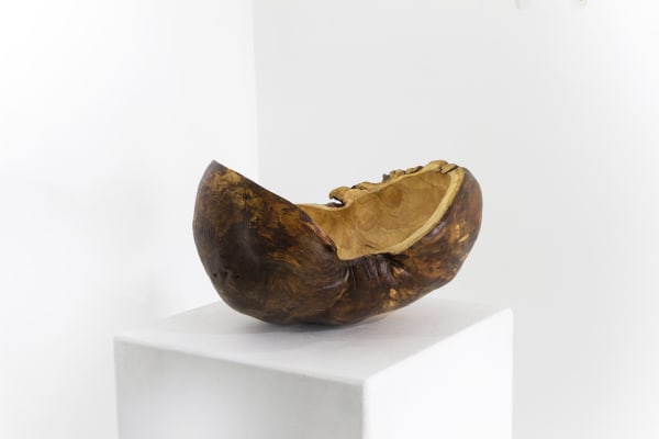 Art Focus: Maxim Hastings