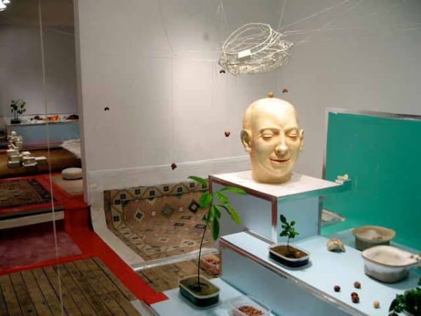 DARBORAL (AND THE MAINTENANCE OF A PRACTICE FIELD)