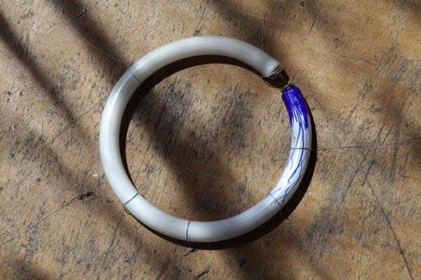 Eternal World Beauty