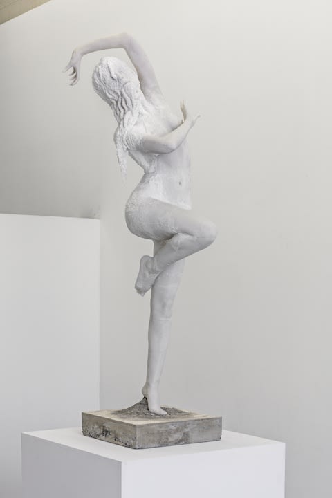 Jason De Haan - Tomb Bloom , 2018