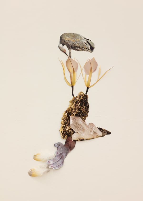 Jennifer Murphy, Longing for Light, 2025