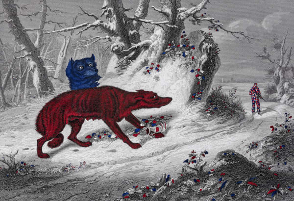 John Massey , Wolves, 2019