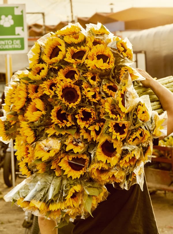 Luis Mora Untitled 13 (Paloquemao, Bogotá, Colombia), 2018 inkjet print on archival paper, framed 31 x 21 inches edition of 5