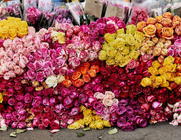 Luis Mora Untitled 18 (Paloquemao, Bogotá, Colombia), 2018 inkjet print on archival paper, framed 9 x 11 inches unique