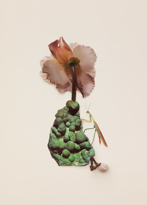 Jennifer Murphy, Those who Feel Joy, 2025