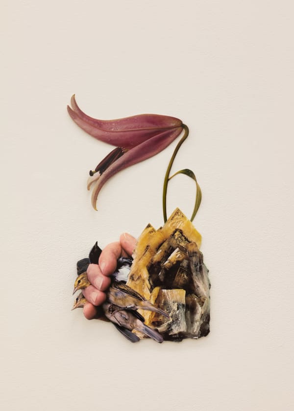 Jennifer Murphy, To Hold Dust, 2025