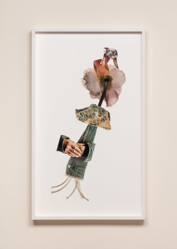 Jennifer Murphy, Unscheduled Appearance, 2024