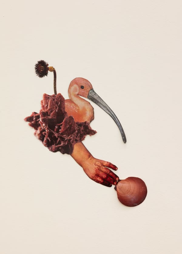 Jennifer Murphy, Longing for Balance, 2025