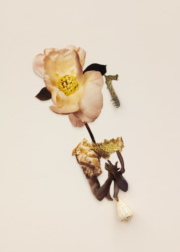 Jennifer Murphy, Longing for Tenderness, 2025