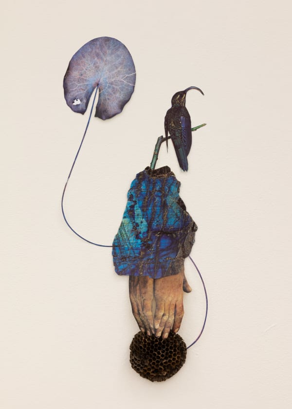 Jennifer Murphy, Faith in Life, 2025