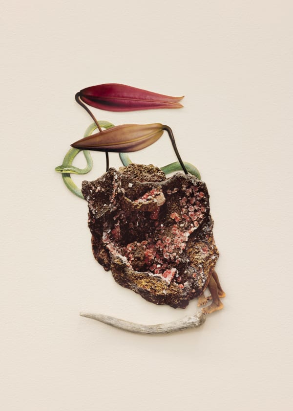 Jennifer Murphy, What Will Bind, 2025