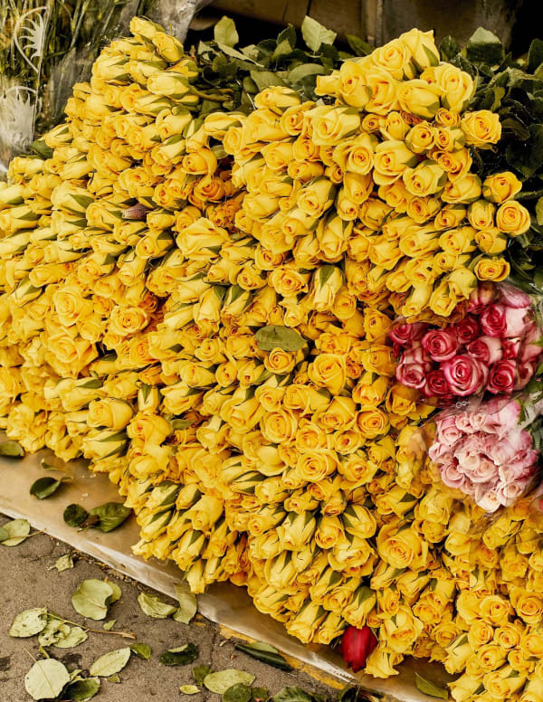 Luis Mora Untitled 8 (Paloquemao, Bogotá, Colombia), 2018 inkjet print on archival paper, framed 12 x 9 inches (30 x 22cms) edition of 5