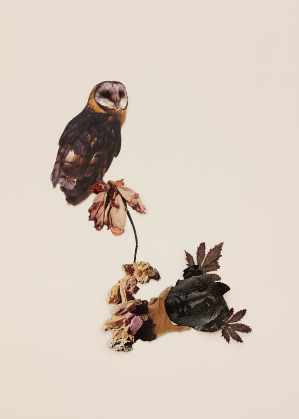 Jennifer Murphy, Insight Into The Direction of the Road, 2025