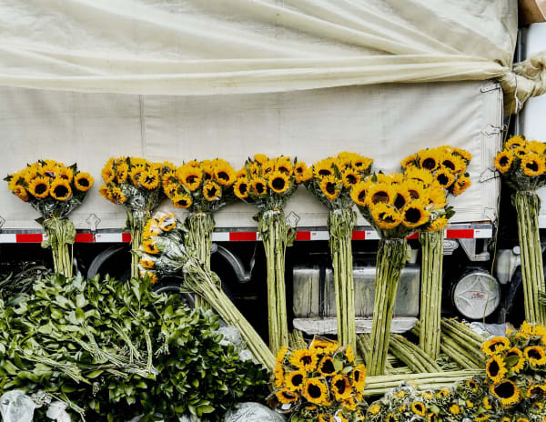 Luis Mora Untitled 15 (Paloquemao, Bogotá, Colombia), 2018 inkjet print on archival paper, framed 9 x 11 inches unique