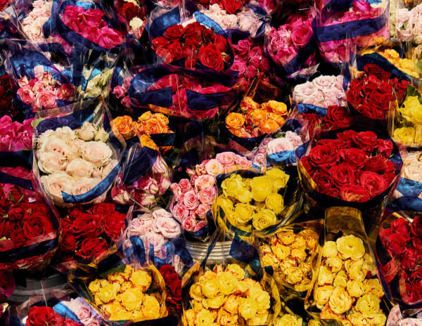 Luis Mora Untitled 19 (Paloquemao, Bogotá, Colombia), 2018 inkjet print on archival paper, framed 9 x 11 inches unique