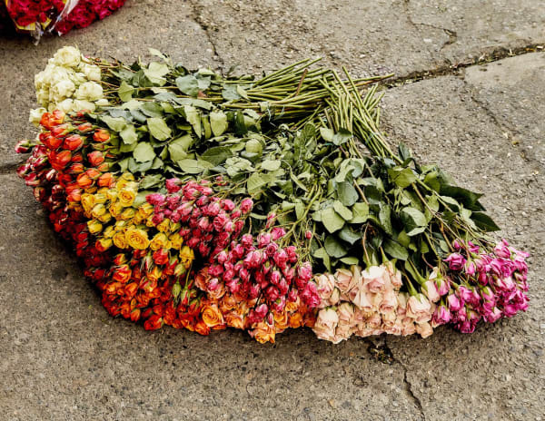 Luis Mora Untitled 20 (Paloquemao, Bogotá, Colombia), 2018 inkjet print on archival paper, framed 9 x 11 inches unique