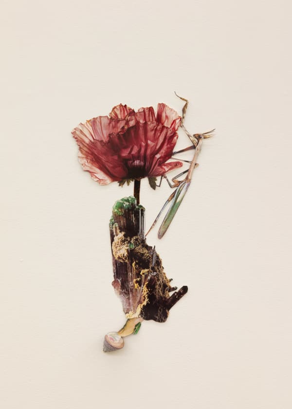 Jennifer Murphy, Belief In Help During Mountain Climbing, 2025