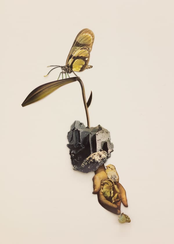 Jennifer Murphy, Sensitive Thoughts, 2025