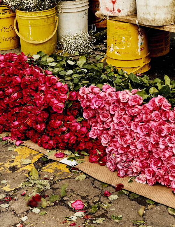 Luis Mora Untitled 4 (Paloquemao, Bogotá, Colombia), 2018 inkjet print on archival paper, framed 12 x 9 inches (30 x 22cms) edition of 5