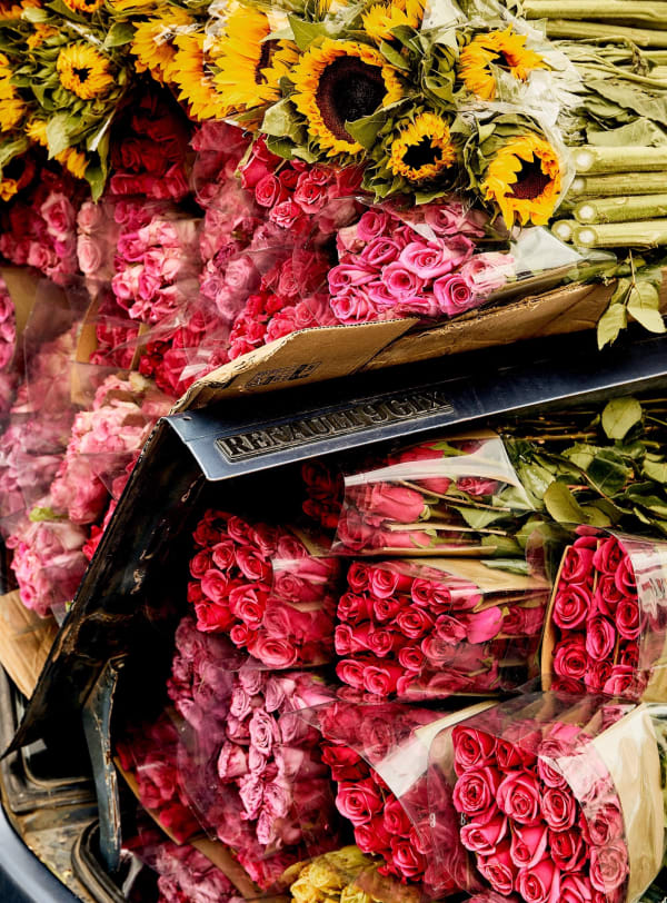 Luis Mora Untitled 7 (Paloquemao, Bogotá, Colombia), 2018 inkjet print on archival paper, framed 17 x 13 inches edition of 5