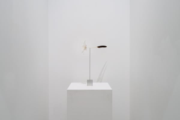 Photo by Yuji Imamura