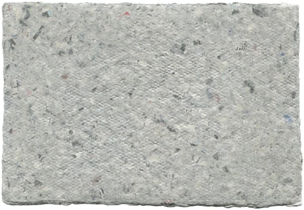 Saburo Ota - Seed Plant_Pysalis alkengi var francheti hort., 2013