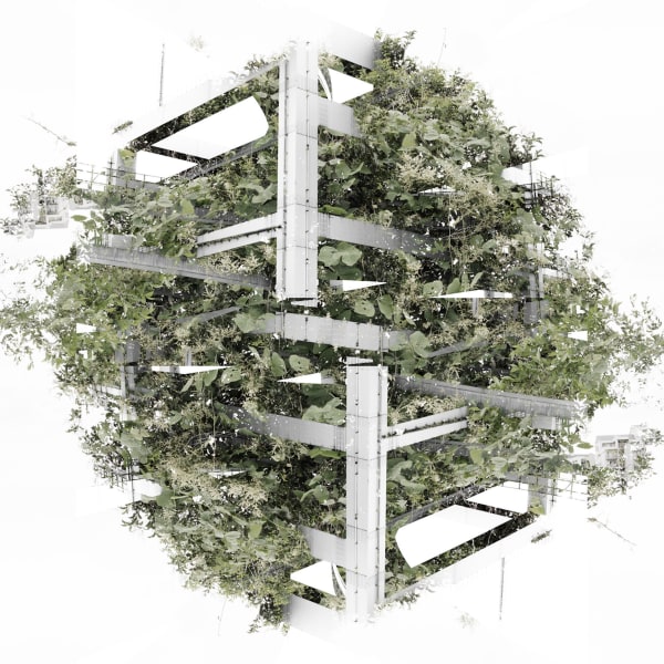 palla/Kazuhiko Kawahara natures#005 2015