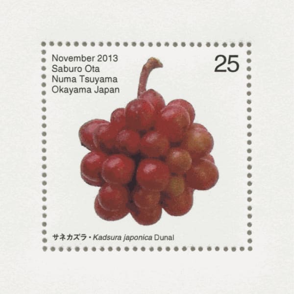 Saburo Ota Seed Plant: Katsura Japonica Dunal 2013