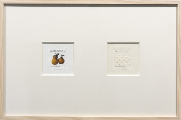 Saburo Ota, Seed Plant_Solanum carolinense L., 2013, Seeds, laser print on Japanese paper, 27.7 x 42.4 cm