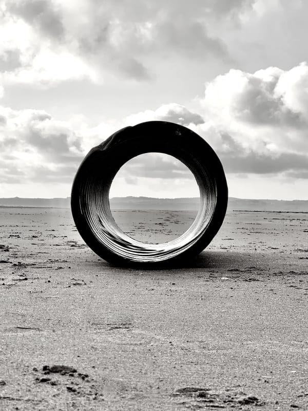 Wendy Bell, Encountering, 2022