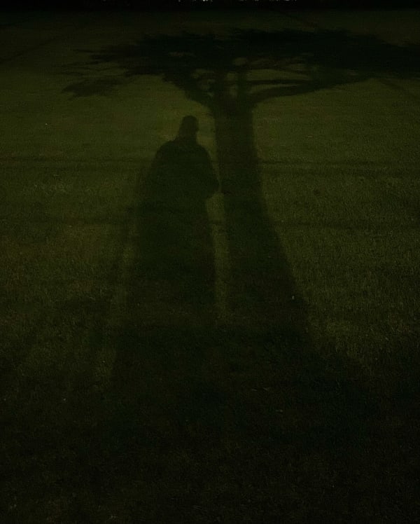 Wendy Bell, Shadows don't discriminate, 2022