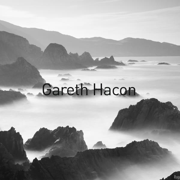 ARTIST / PHOTOGRAPHER