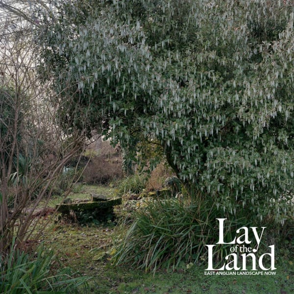 MARK EDWARDS (PHOTOGRAPHIC ART)