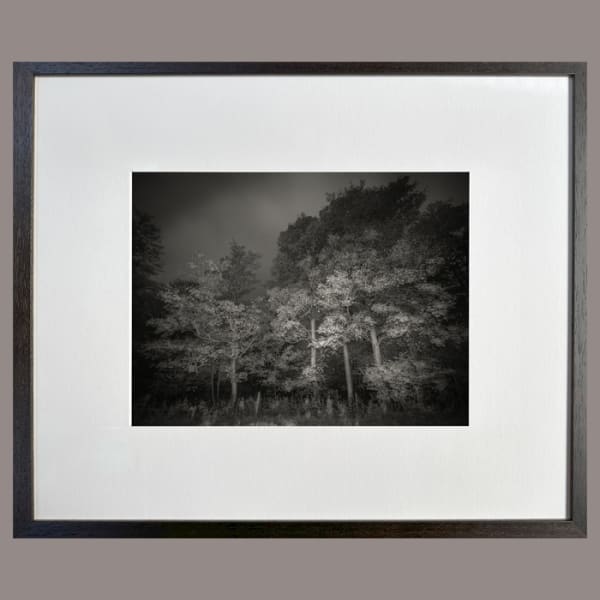 <span class="artist"><strong>Bill Jackson</strong></span>, <span class="title"><em>Fromus Valley (L)</em>, 2022</span>