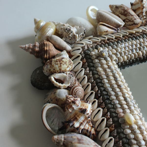<span class="artist"><strong>Carolyn Brookes-Davies</strong></span>, <span class="title"><em>Shell Box</em>, 2022</span>