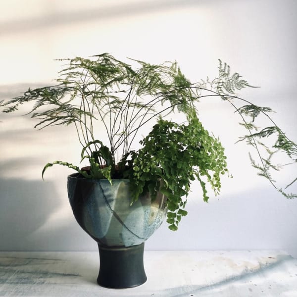 Goblet Planter II