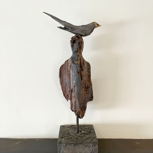 Bird Vision II