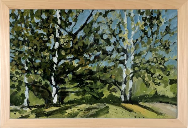 Birch Trees 1