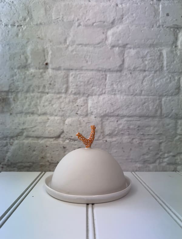 Butter Dish