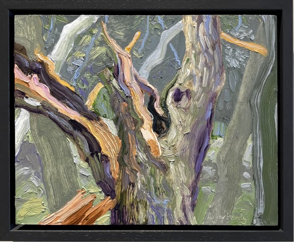 Fallen Branch, Staverton