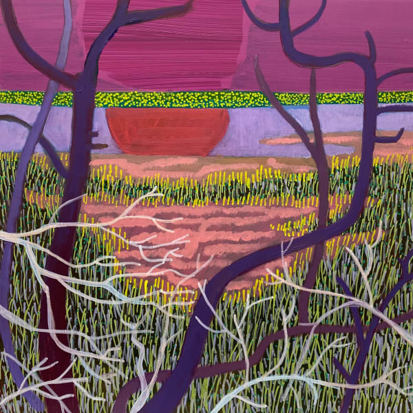 Swamp Drained