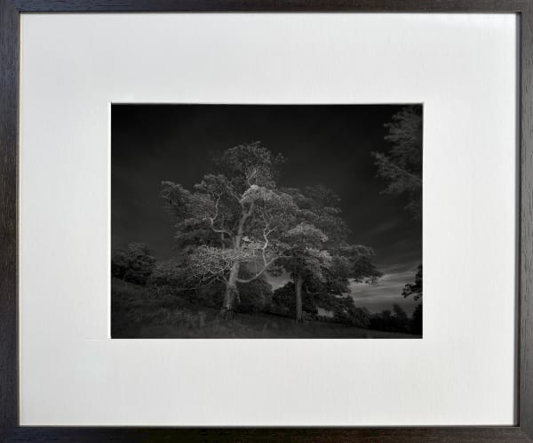 Imagine ... Pink Moon 7