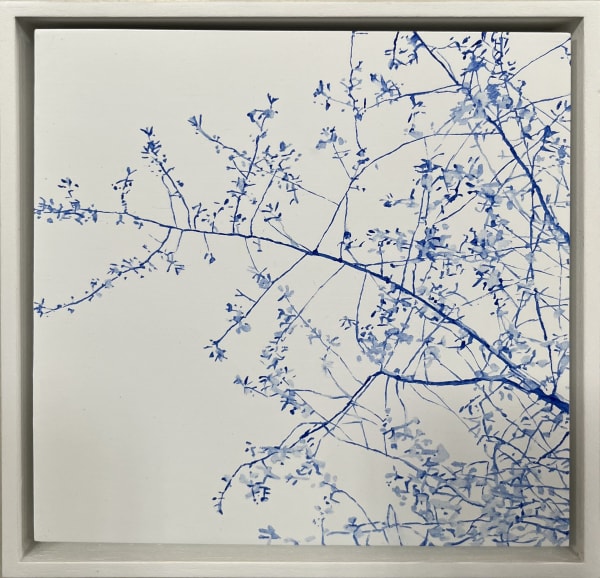 The Blue