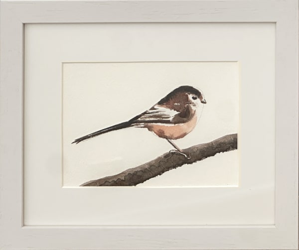 Long Tailed Tit Inframe