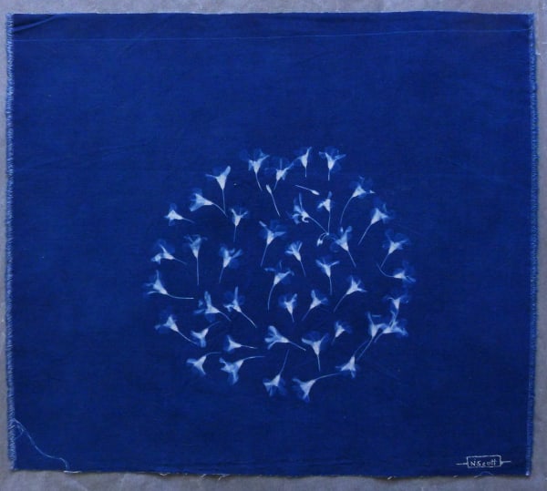 Sondra Meszaros, #17, 2016